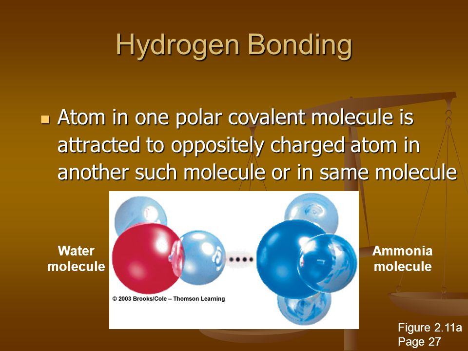 Hydrogen Bonding Atom in one polar covalent molecule is attracted to oppositely charged atom in another such molecule or in same molecule Atom in one polar covalent molecule is attracted to oppositely charged atom in another such molecule or in same molecule Water molecule Ammonia molecule Figure 2.11a Page 27
