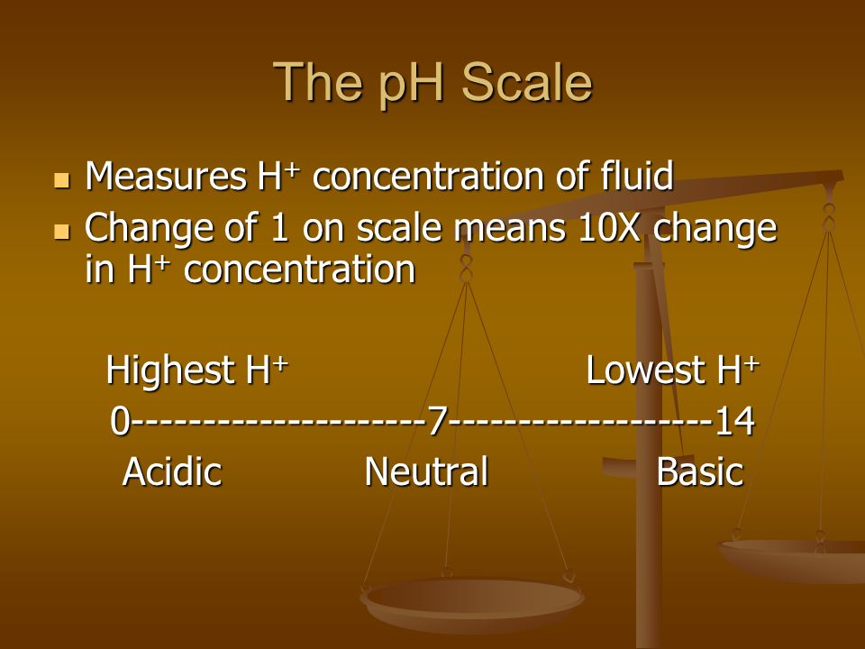 The pH Scale Measures H + concentration of fluid Measures H + concentration of fluid Change of 1 on scale means 10X change in H + concentration Change of 1 on scale means 10X change in H + concentration Highest H + Lowest H Acidic Neutral Basic