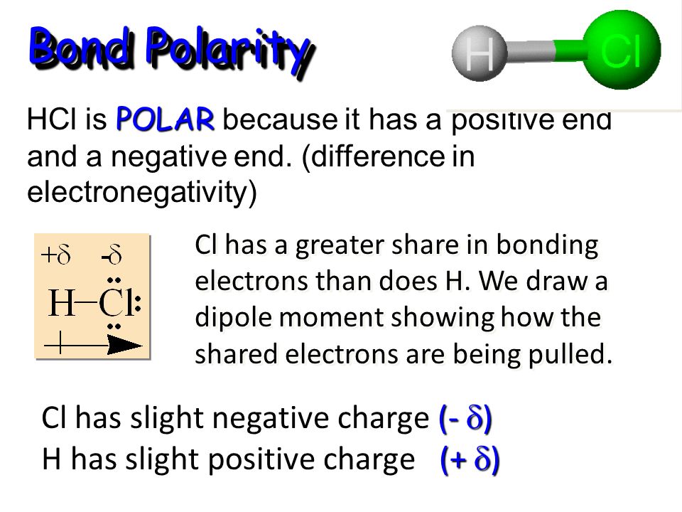 Bond Polarity HCl is POLAR because it has a positive end and a negative end.
