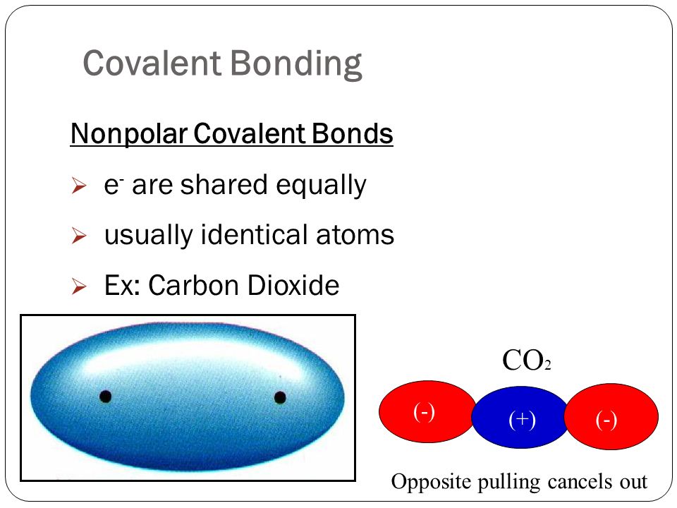 Nonpolar Covalent Bonds  e - are shared equally  usually identical atoms  Ex: Carbon Dioxide Covalent Bonding (-) (+) (-) Opposite pulling cancels out CO 2