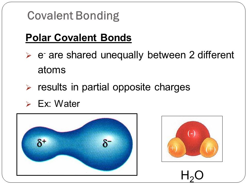 Polar Covalent Bonds  e - are shared unequally between 2 different atoms  results in partial opposite charges  Ex: Water Covalent Bonding H2OH2O (-) (+)