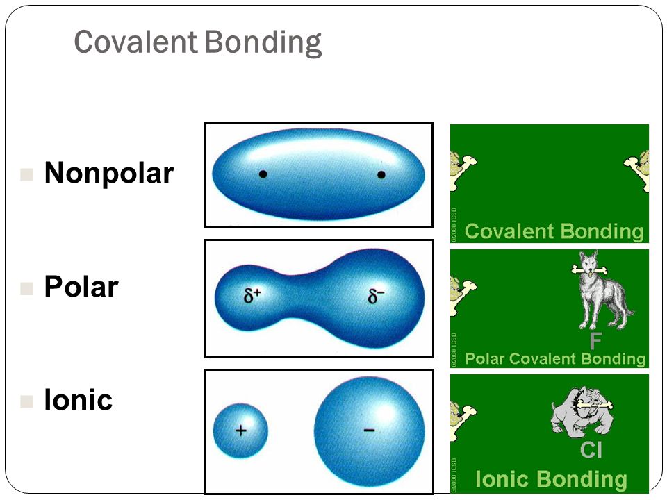 Nonpolar Polar Ionic Covalent Bonding