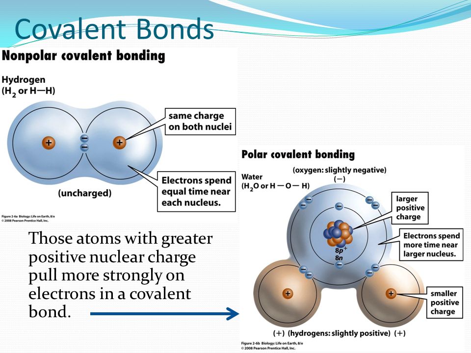 Those atoms with greater positive nuclear charge pull more strongly on electrons in a covalent bond.