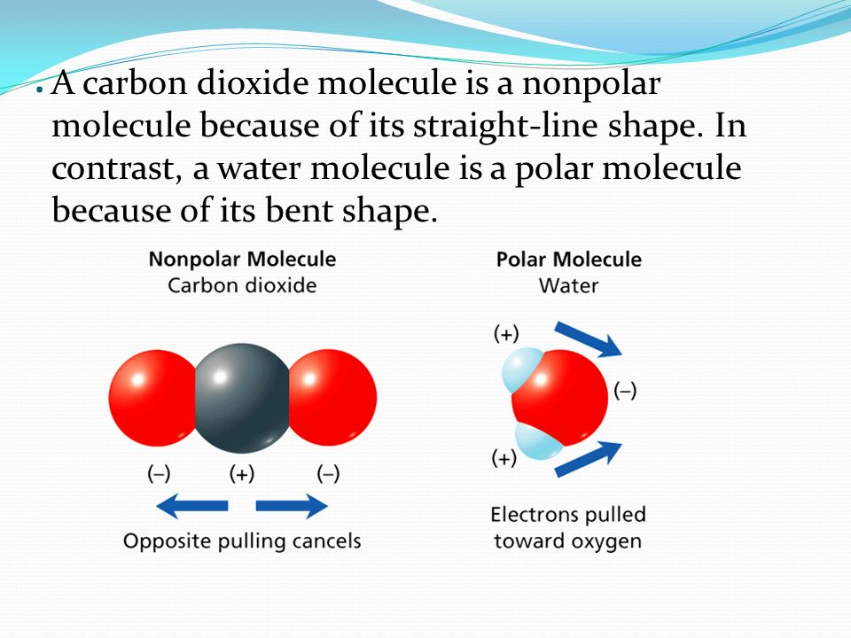 A carbon dioxide molecule is a nonpolar molecule because of its straight-line shape.