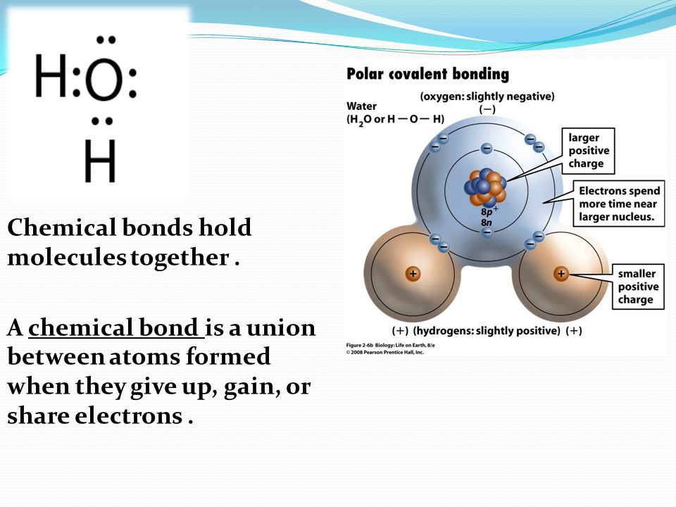 Chemical bonds hold molecules together.