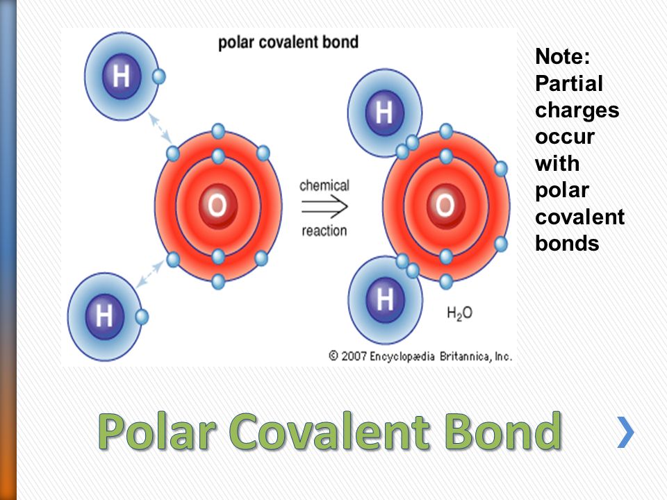Note: Partial charges occur with polar covalent bonds