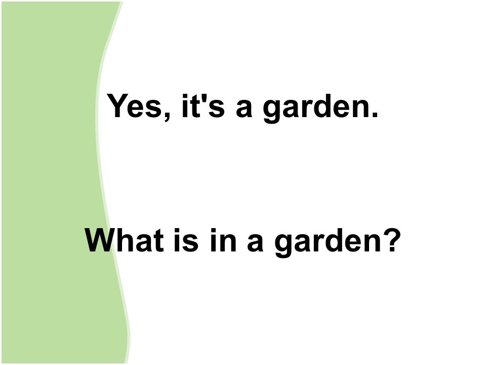 Yes, it s a garden. What is in a garden