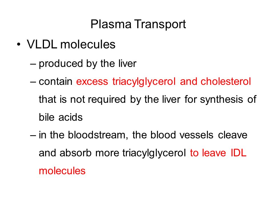 Synthroid And Cholesterol