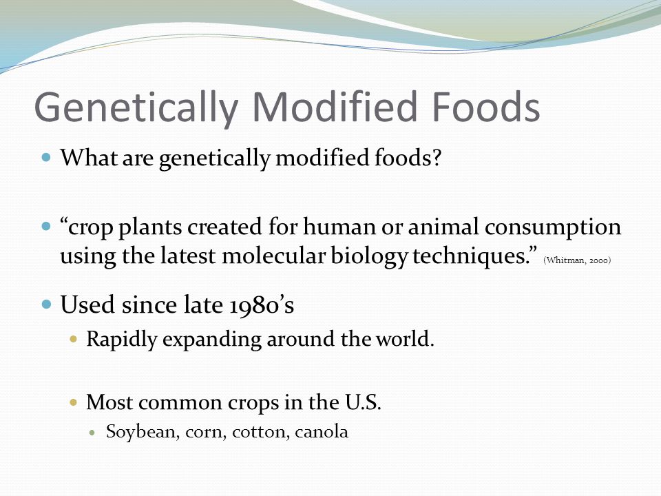 we must ban genetically modified foods essay we must ban genetically modified foods essay