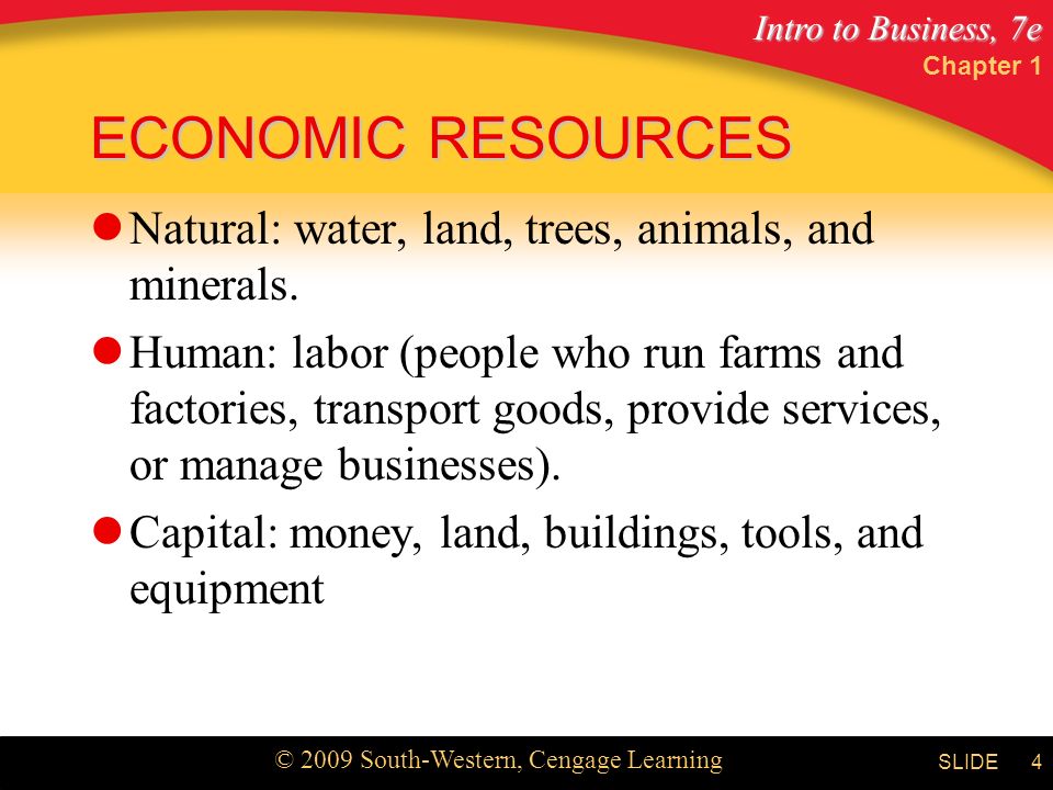 Intro to Business, 7e © 2009 South-Western, Cengage Learning SLIDE Chapter 1 4 ECONOMIC RESOURCES Natural: water, land, trees, animals, and minerals.