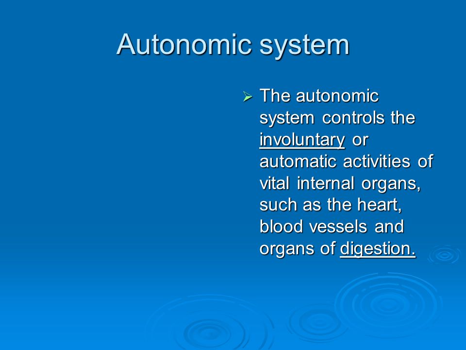 Autonomic system  The autonomic system controls the involuntary or automatic activities of vital internal organs, such as the heart, blood vessels and organs of digestion.
