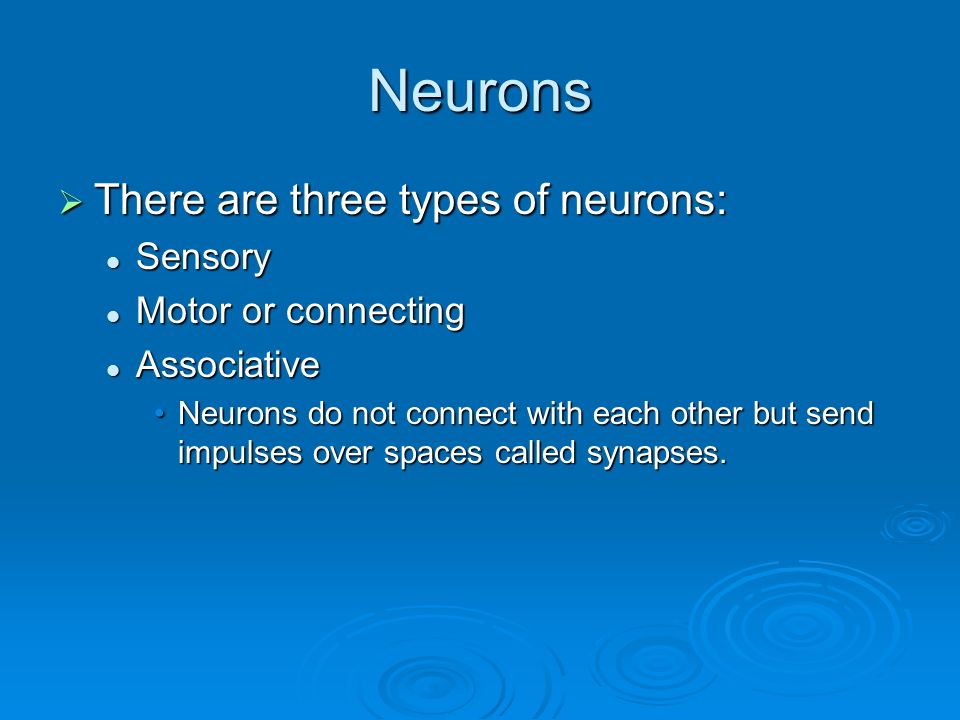 Neurons  There are three types of neurons: Sensory Sensory Motor or connecting Motor or connecting Associative Associative Neurons do not connect with each other but send impulses over spaces called synapses.Neurons do not connect with each other but send impulses over spaces called synapses.