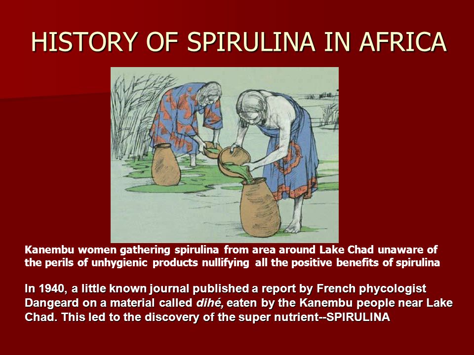 Image of History of Spirulina in Africa