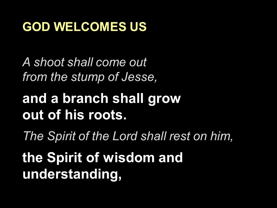 GOD WELCOMES US A shoot shall come out from the stump of Jesse, and a branch shall grow out of his roots.