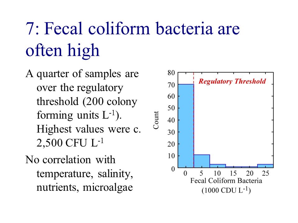 fecal coliform fecal coliform