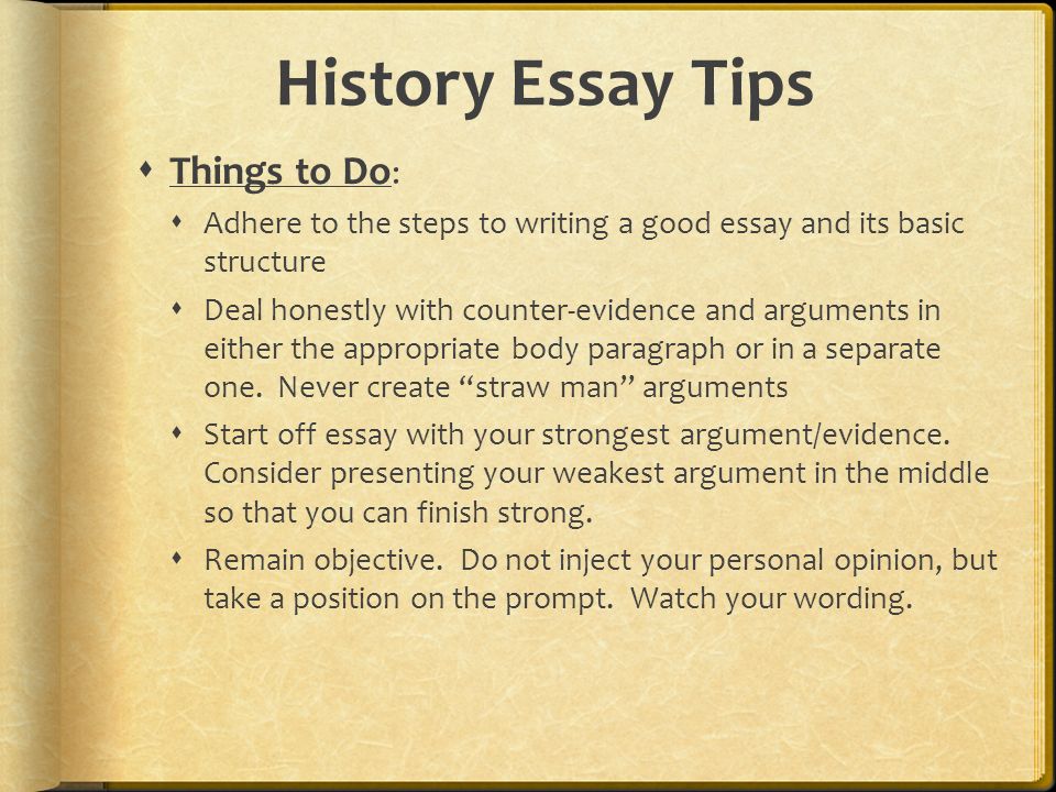 Phd Essay