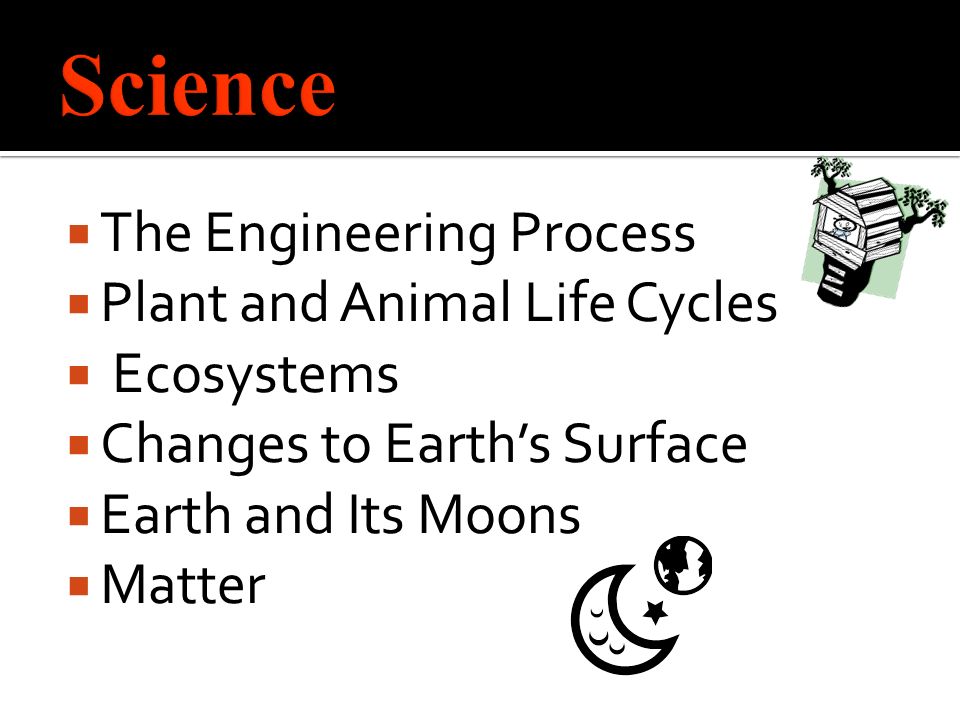  The Engineering Process  Plant and Animal Life Cycles  Ecosystems  Changes to Earth’s Surface  Earth and Its Moons  Matter