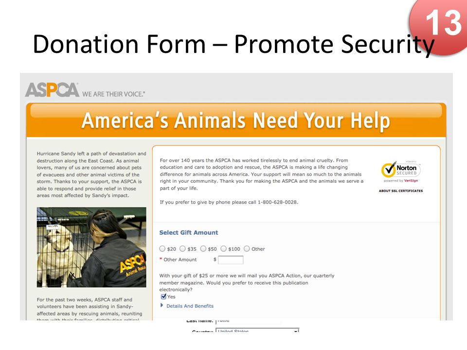 13 Donation Form – Promote Security