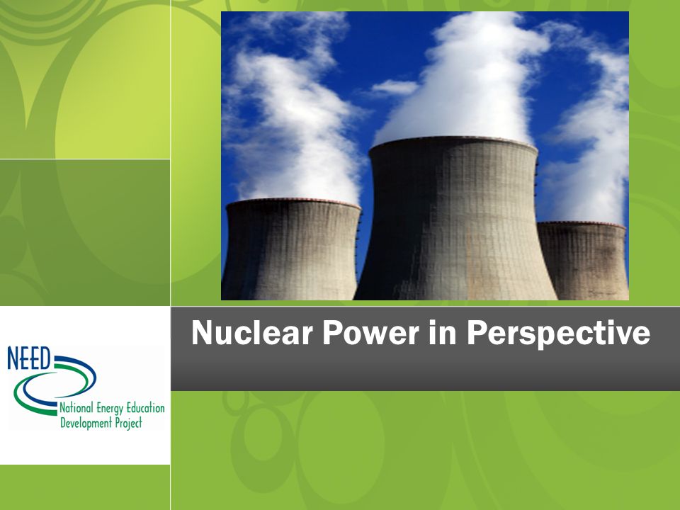 Nuclear Power in Perspective