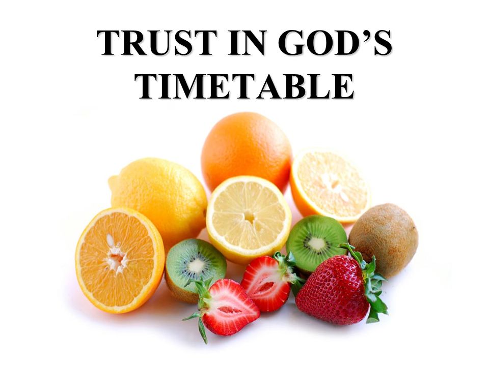 TRUST IN GOD’S TIMETABLE