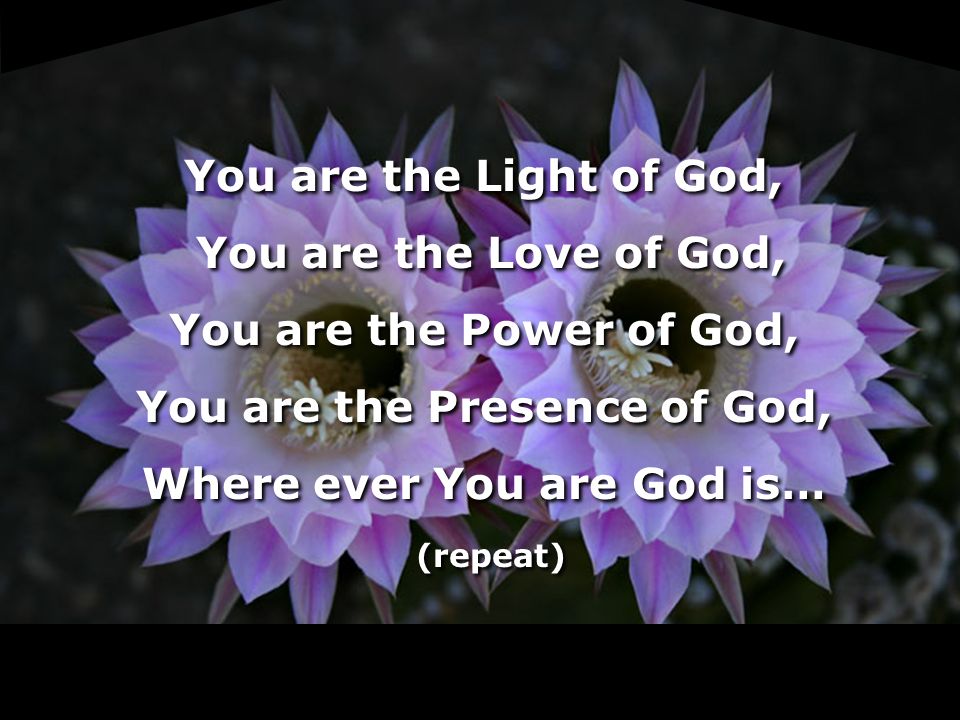 You are the Light of God, You are the Love of God, You are the Power of God, You are the Presence of God, Where ever You are God is… (repeat) You are the Light of God, You are the Love of God, You are the Power of God, You are the Presence of God, Where ever You are God is… (repeat)