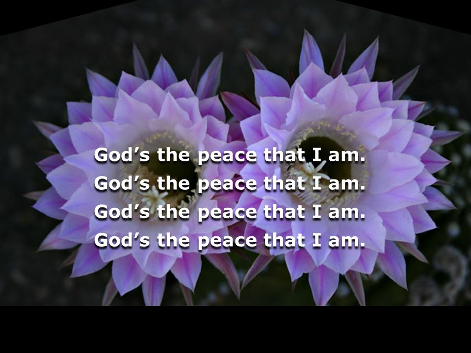 God’s the peace that I am.