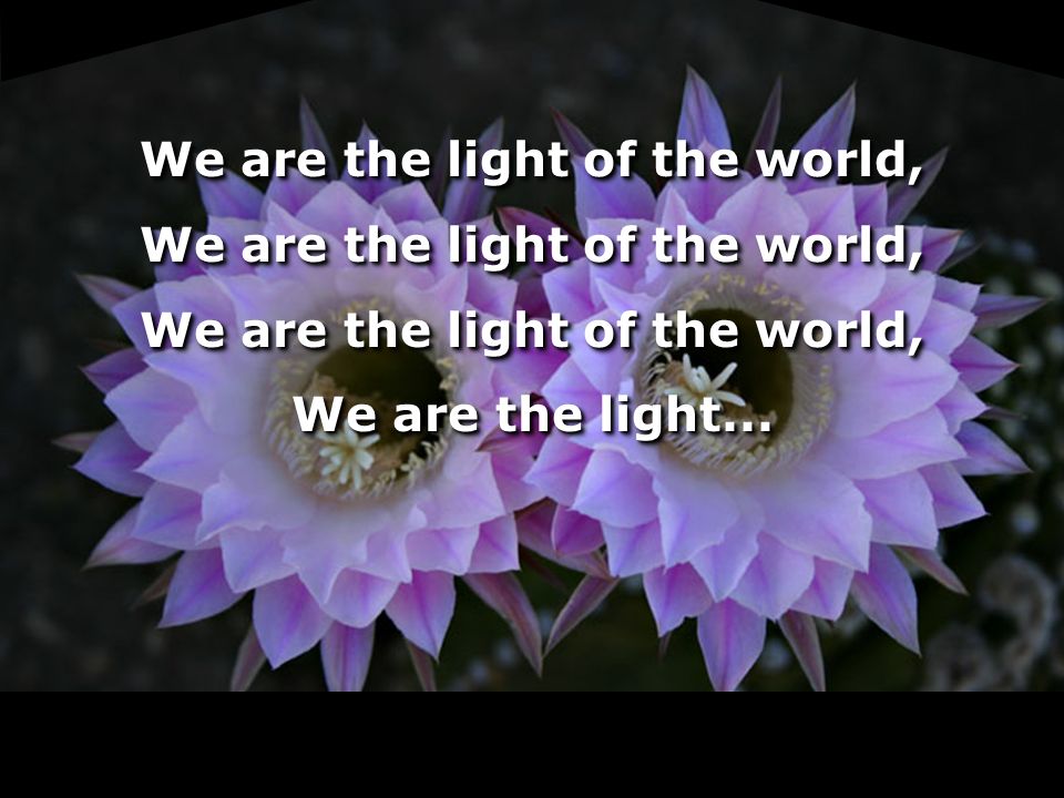 We are the light of the world, We are the light...