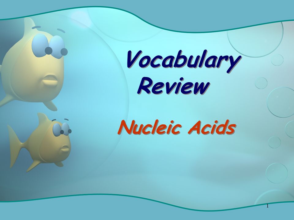 1 Vocabulary Review Nucleic Acids