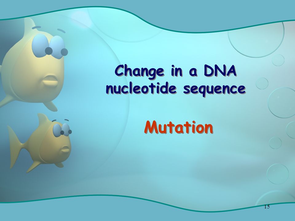 15 Change in a DNA nucleotide sequence Mutation