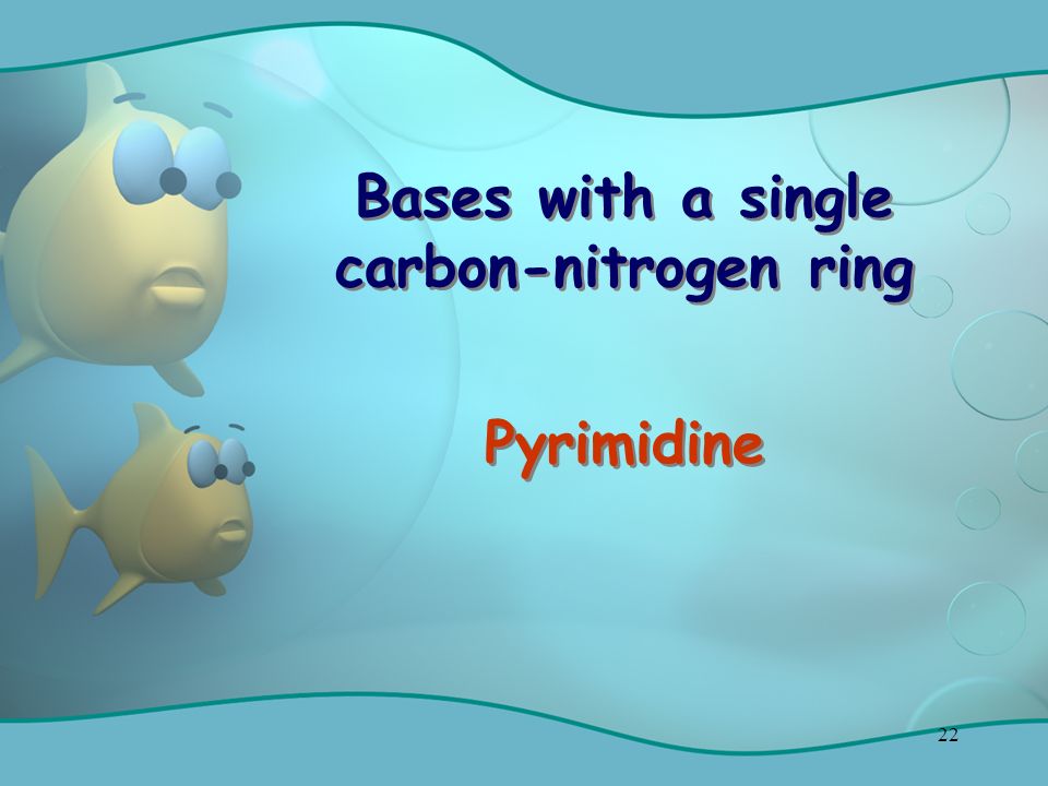 22 Bases with a single carbon-nitrogen ring Pyrimidine