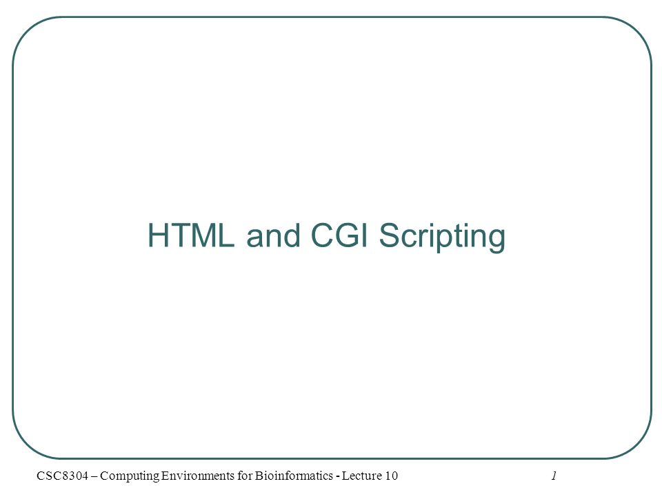 1 HTML and CGI Scripting CSC8304 – Computing Environments for Bioinformatics - Lecture 10