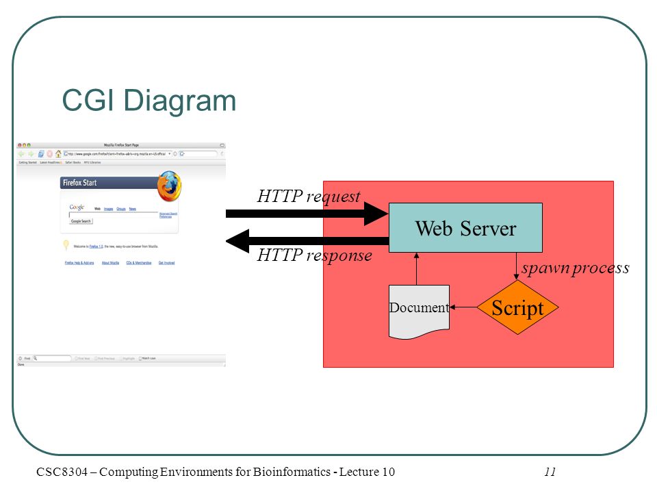CGI Diagram 11 Web Server Script Document HTTP request HTTP response spawn process CSC8304 – Computing Environments for Bioinformatics - Lecture 10