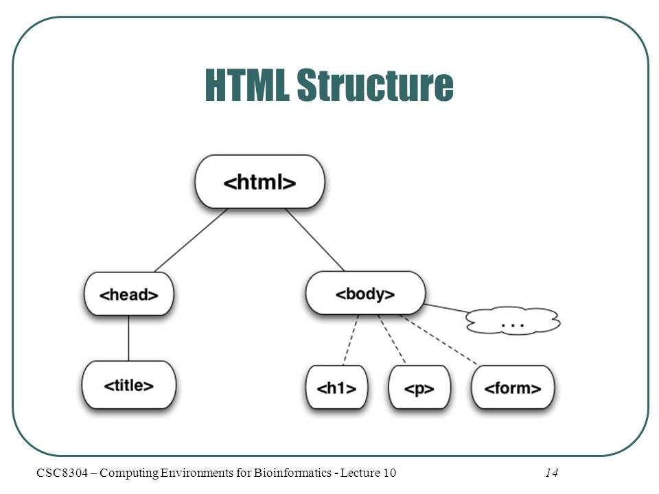 14 HTML Structure CSC8304 – Computing Environments for Bioinformatics - Lecture 10