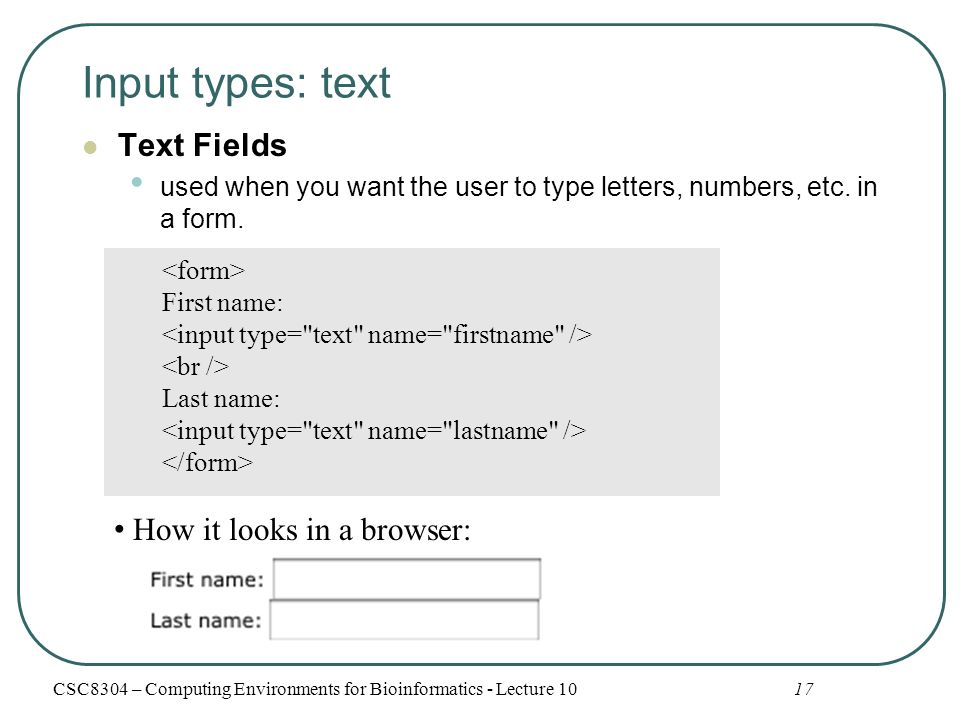 Input types: text Text Fields used when you want the user to type letters, numbers, etc.