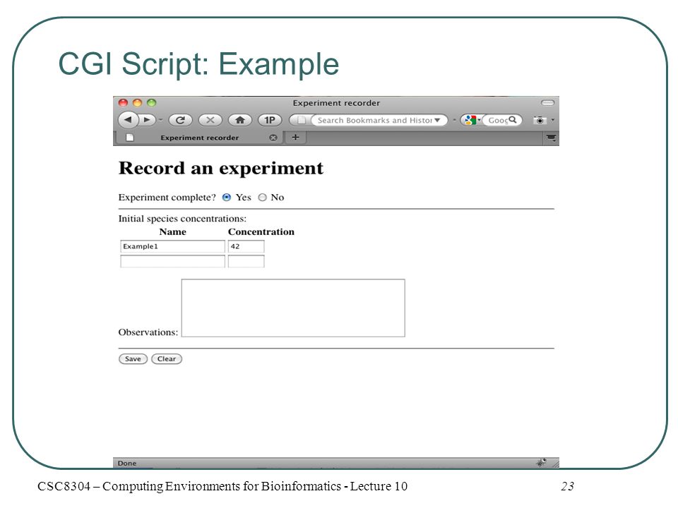 CGI Script: Example 23CSC8304 – Computing Environments for Bioinformatics - Lecture 10