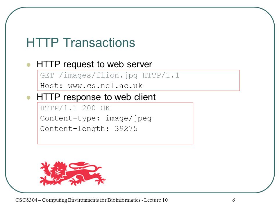 HTTP Transactions HTTP request to web server GET /images/flion.jpg HTTP/1.1 Host:   HTTP response to web client HTTP/ OK Content-type: image/jpeg Content-length: CSC8304 – Computing Environments for Bioinformatics - Lecture 10