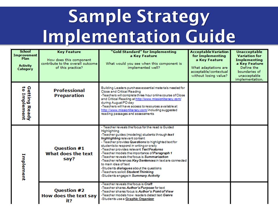 Sample Strategy Implementation Guide