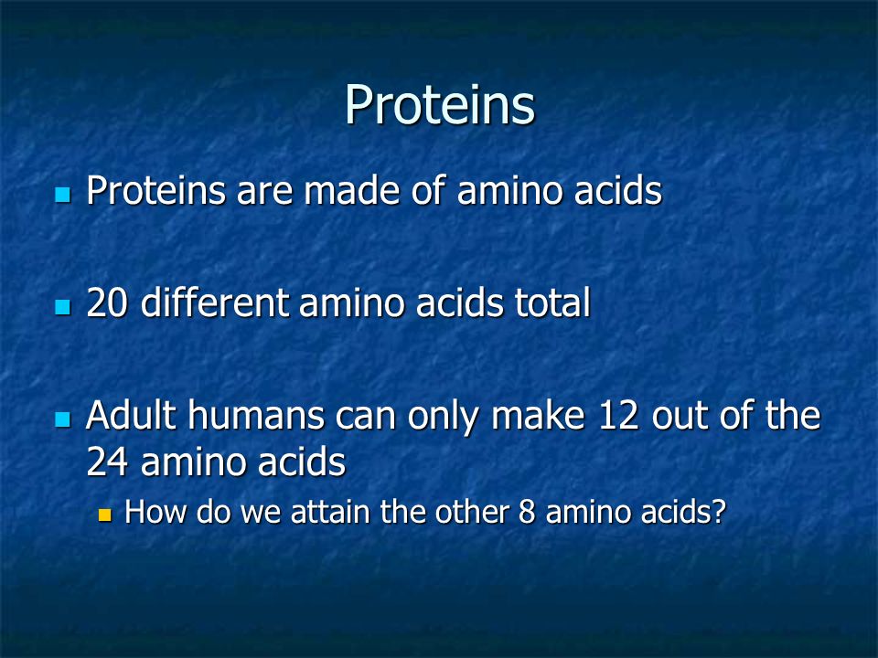 What part of the cell makes proteins?