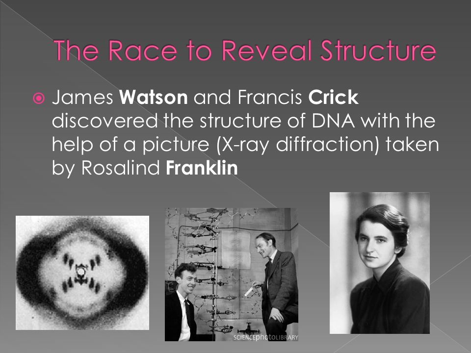 james watson and francis crick unravels the structure of dna james watson and francis crick unravels the structure of dna