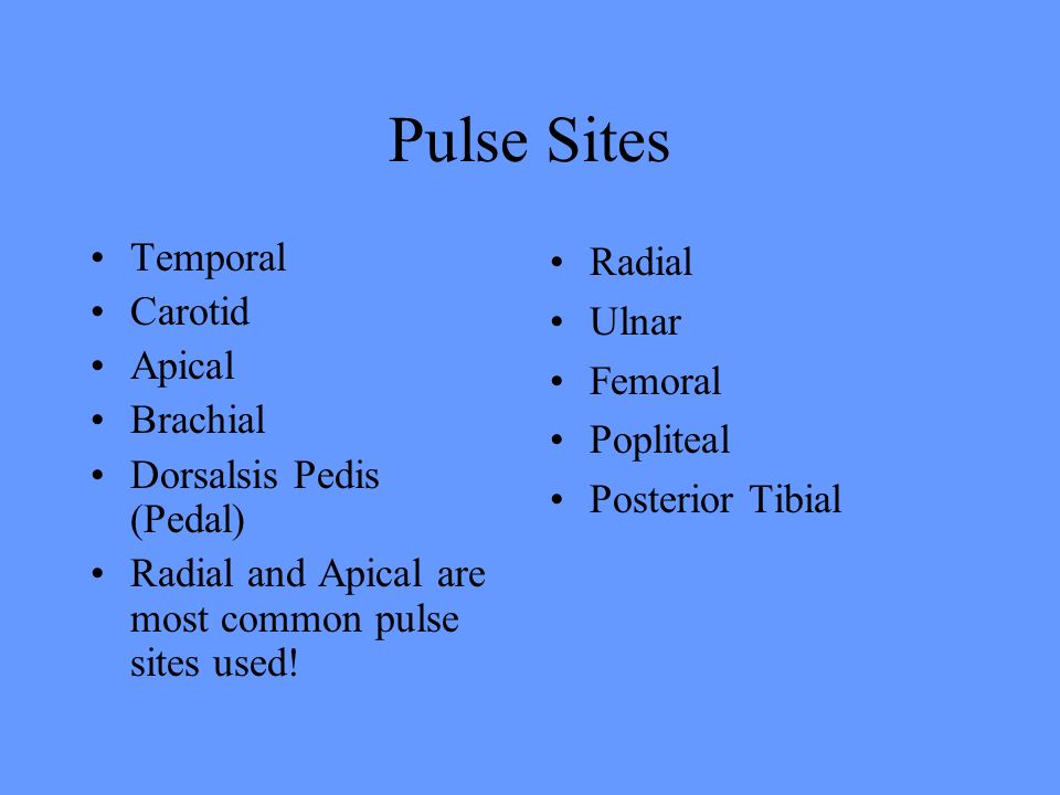Apical+Pulse+Site 30 TERMS RELATED TO PULSE Pulse—Rate, Rhythm, Quality Pulse Deficit ...