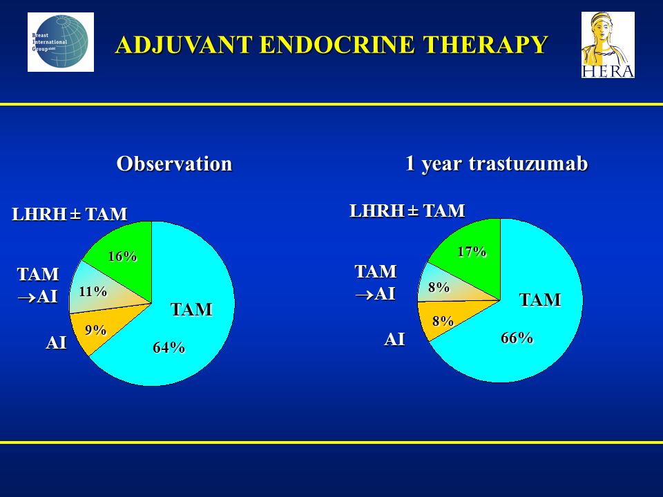ADJUVANT ENDOCRINE THERAPY Observation 1 year trastuzumab TAM 66% 8% 8% 17% AI TAM  AI LHRH ± TAM TAM 64% AI TAM  AI 9% 11% LHRH ± TAM 16%