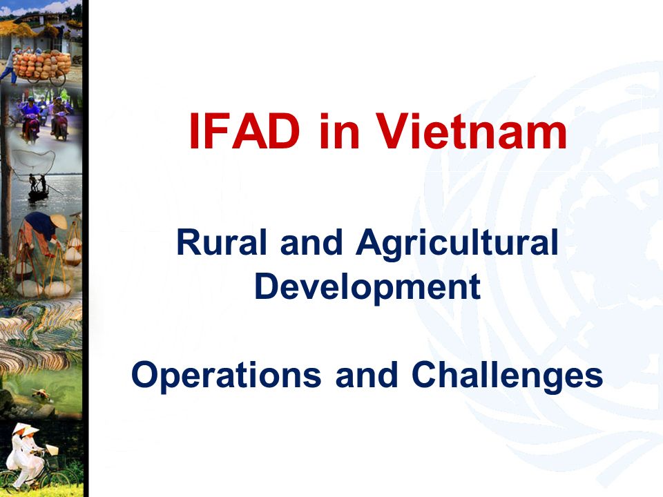 IFAD in Vietnam Rural and Agricultural Development Operations and Challenges