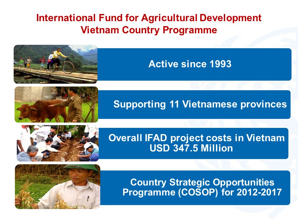 Active since 1993 Supporting 11 Vietnamese provinces Overall IFAD project costs in Vietnam USD Million Country Strategic Opportunities Programme (COSOP) for International Fund for Agricultural Development Vietnam Country Programme