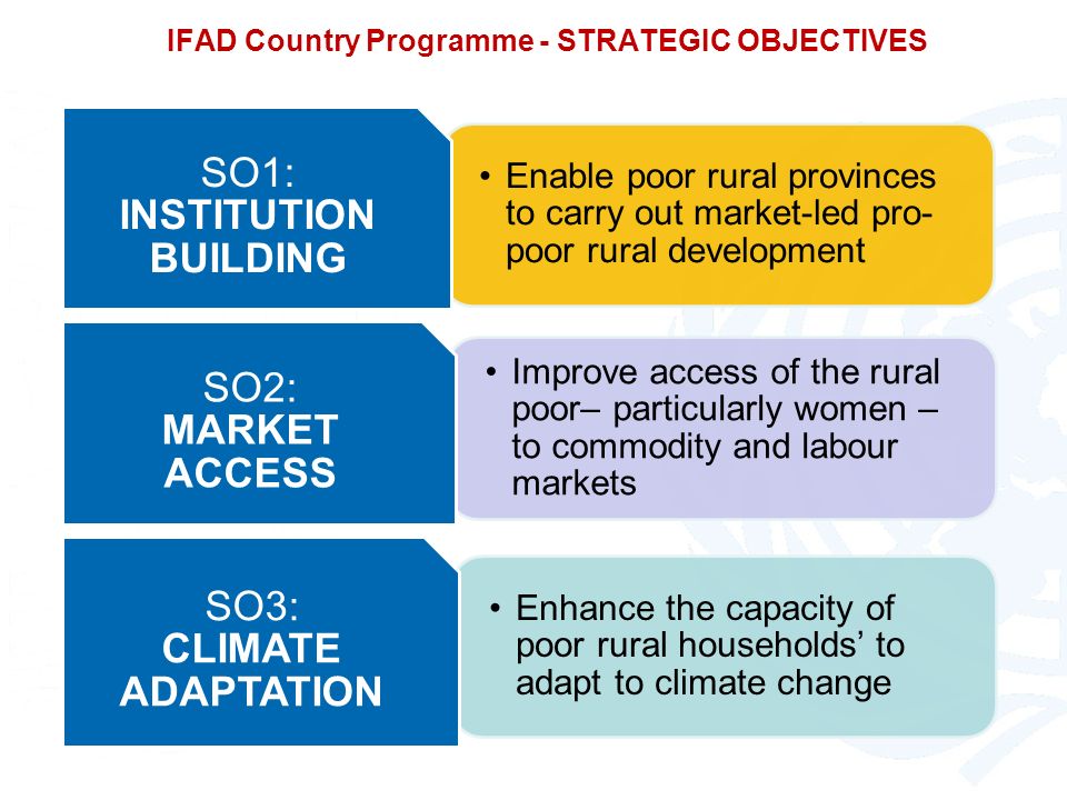 IFAD Country Programme - STRATEGIC OBJECTIVES