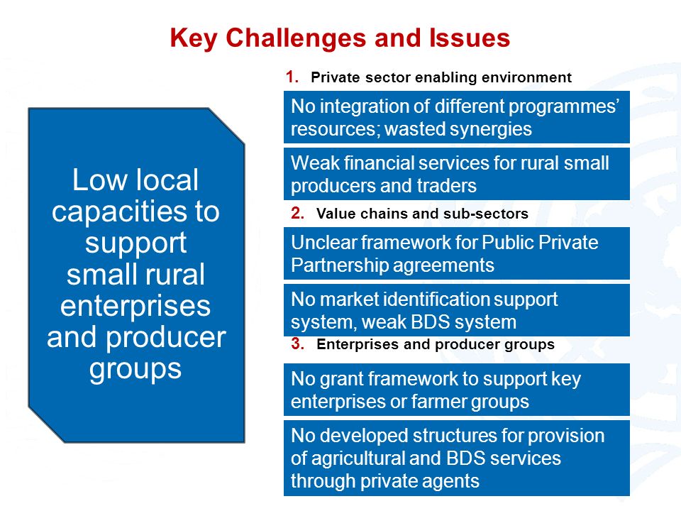 Key Challenges and Issues Low local capacities to support small rural enterprises and producer groups 1.