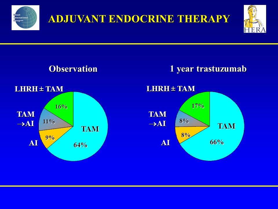 ADJUVANT ENDOCRINE THERAPY Observation 1 year trastuzumab TAM 64% AI TAM  AI 9% 11% LHRH ± TAM 16% TAM 66% 8% 8% 17% AI TAM  AI LHRH ± TAM