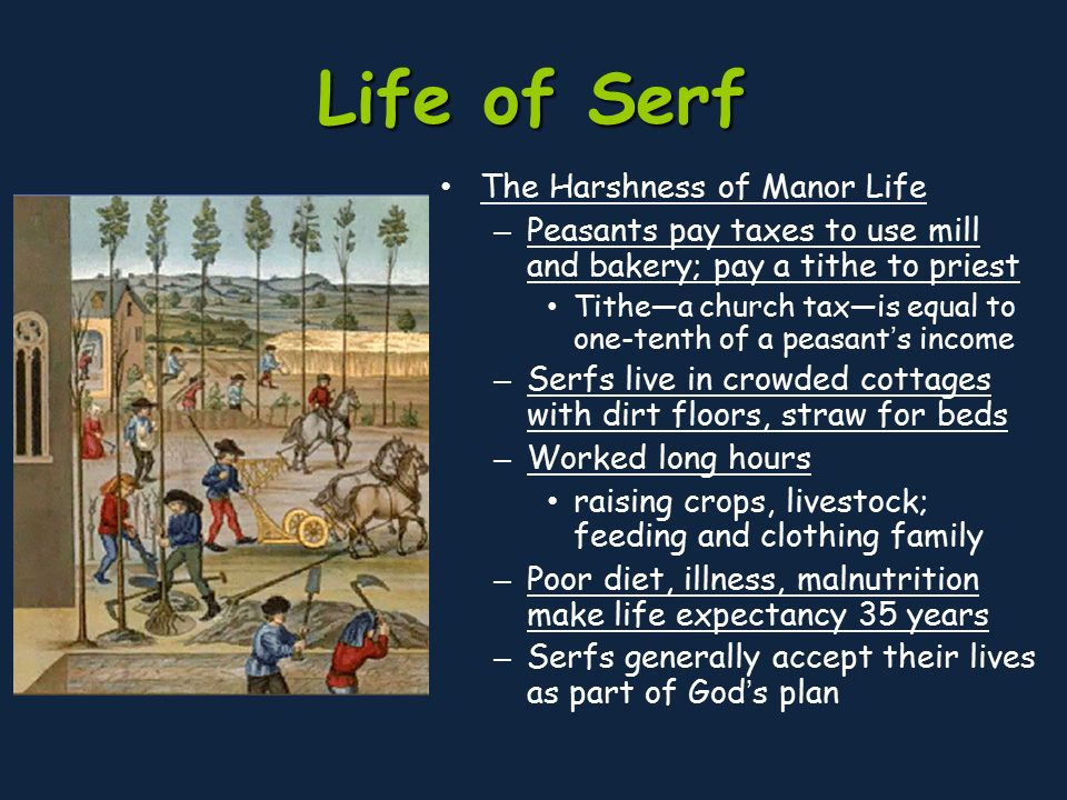 Life of Serf The Harshness of Manor Life – Peasants pay taxes to use mill and bakery; pay a tithe to priest Tithe—a church tax—is equal to one-tenth of a peasant’s income – Serfs live in crowded cottages with dirt floors, straw for beds – Worked long hours raising crops, livestock; feeding and clothing family – Poor diet, illness, malnutrition make life expectancy 35 years – Serfs generally accept their lives as part of God’s plan