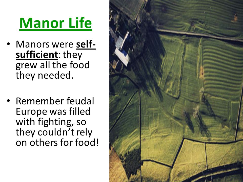 Manor Life Manors were self- sufficient: they grew all the food they needed.