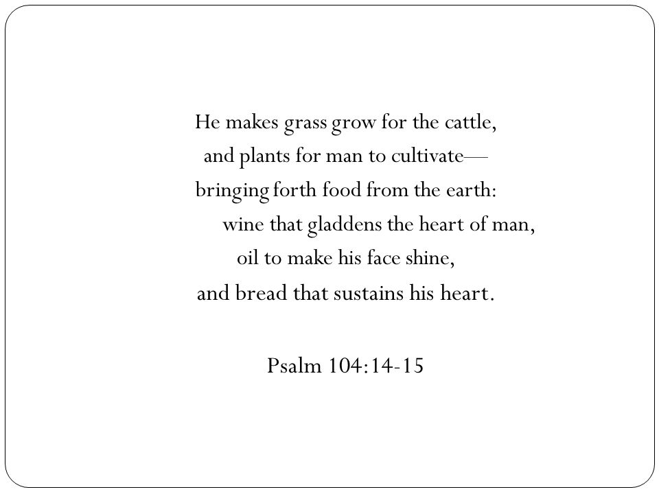 He makes grass grow for the cattle, and plants for man to cultivate— bringing forth food from the earth: wine that gladdens the heart of man, oil to make his face shine, and bread that sustains his heart.