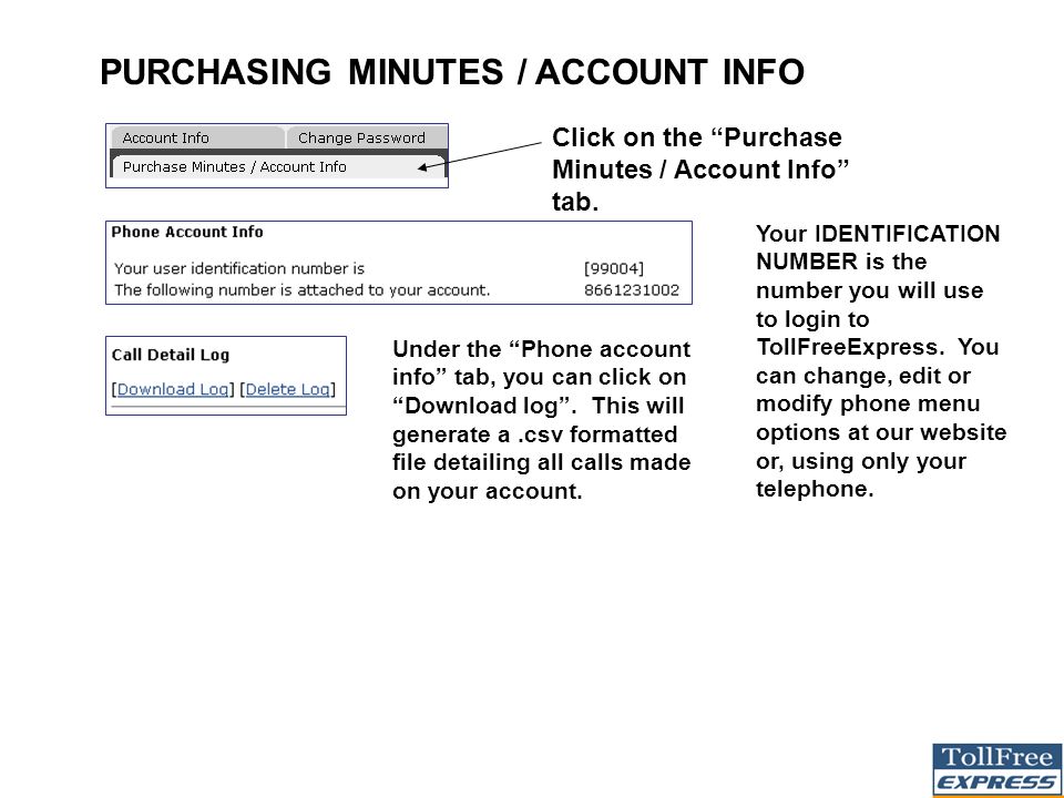 PURCHASING MINUTES / ACCOUNT INFO Click on the Purchase Minutes / Account Info tab.